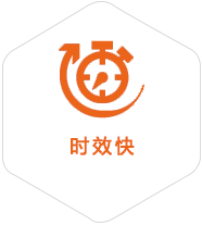 莎车到爱沙尼亚物流公司